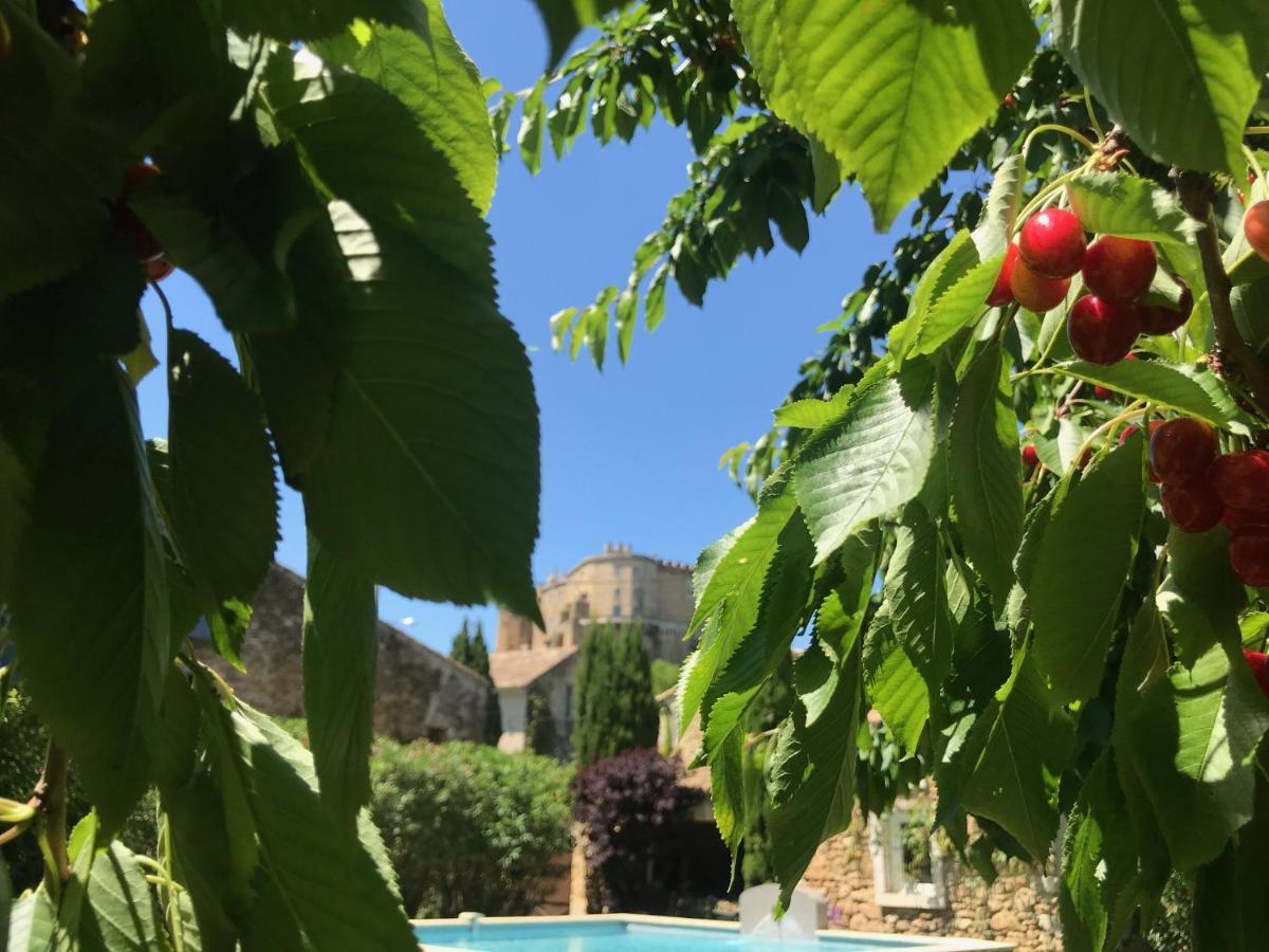 Bed and Breakfast Les Aiguieres En Provence Suze-la-Rousse Exterior foto